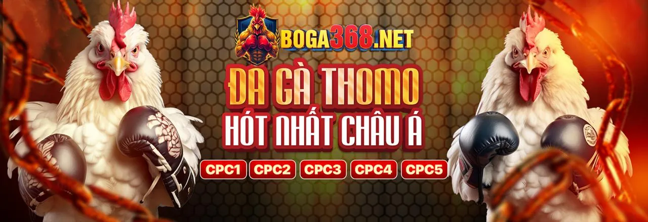 Đá gà trực tuyến VN23 App