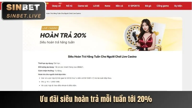 Chi tiết hoàn trả thể thao